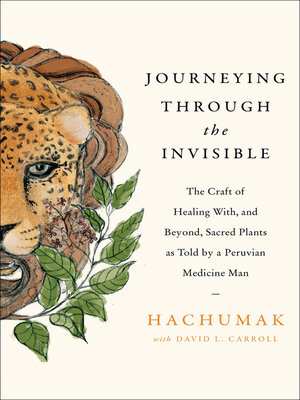 cover image of Journeying Through the Invisible